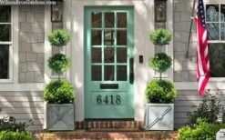 Green Mountain Boxwood 3-Ball Poodle Tier Topiary - 6 Gallon Pot 9 Green Mountain Boxwood 3-Ball Poodle Tier Topiary - 6 Gallon Pot -Bush Sale Shop buxus green mountain 3 ball topiary 20