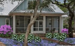 Snow Globe Gardenia - 1 Gallon Pot 13 Snow Globe Gardenia - 1 Gallon Pot -Bush Sale Shop gardenia jasminoides snow globe 2 1